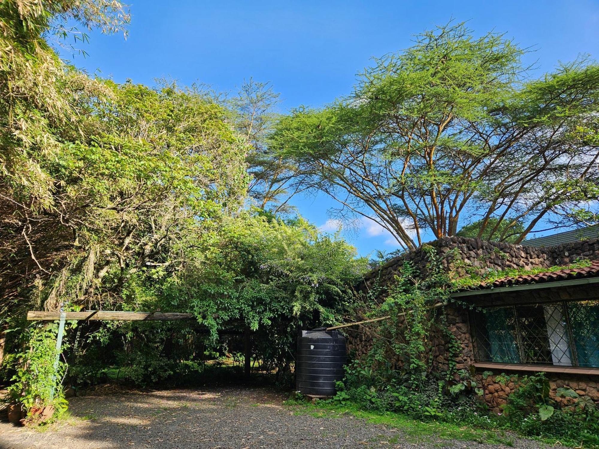 Mad Vervet Nairobi Backpackers Hostel Exteriör bild